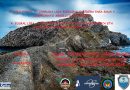 Campeonato Bizkaia SALA 25-26